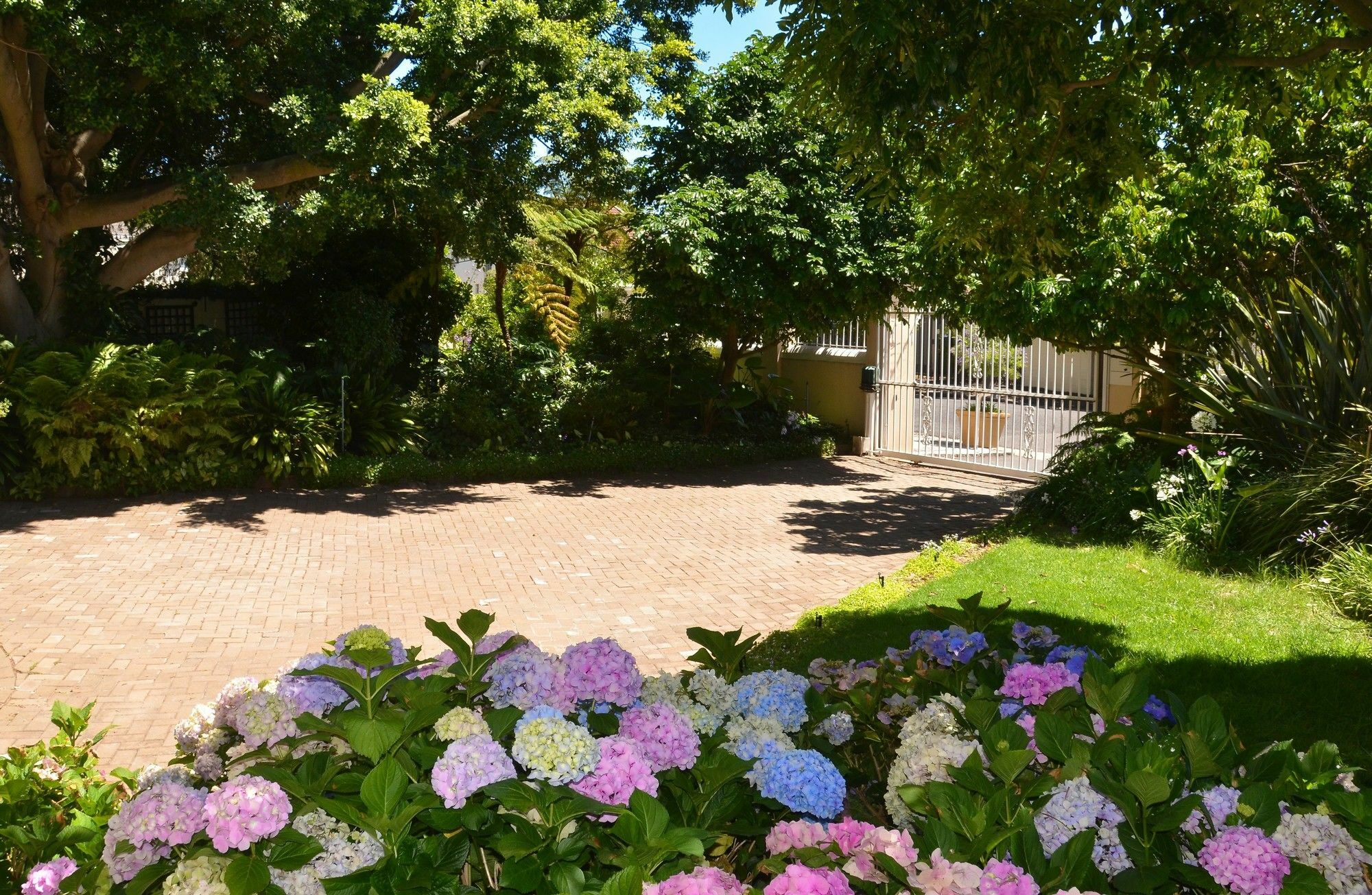 Medindi Manor Hotel Fokváros Kültér fotó